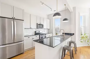 1460 W Ohio St, Chicago, IL 60622 - Photo 5