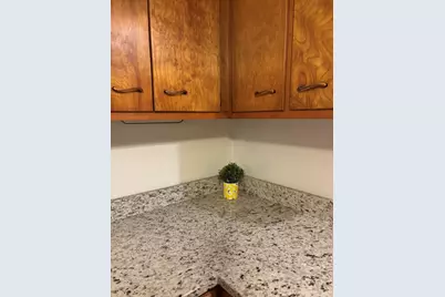 13515 S Baltimore Avenue, Chicago, IL 60633 - Photo 7