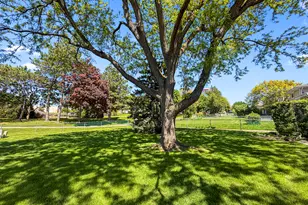 1570 W Goldengate Dr, Addison, IL 60101 - Photo 15