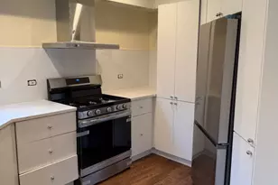 1203 Hobson Oaks Dr, Naperville, IL 60540 - Photo 15