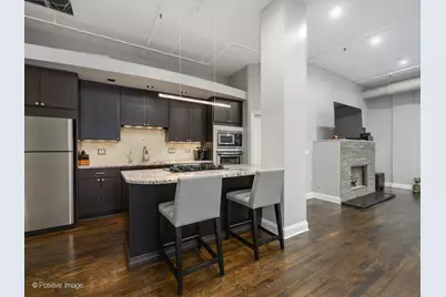 360 W Illinois Street #10F, Chicago, IL 60654 - Photo 9