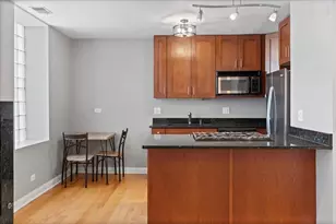 2307 W Haddon Ave, Chicago, IL 60622 - Photo 7