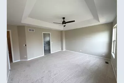 24850 Michele Drive, Plainfield, IL 60544 - Photo 23