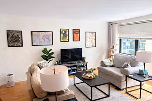 850 N Dewitt Pl, Chicago, IL 60611 - Photo 3