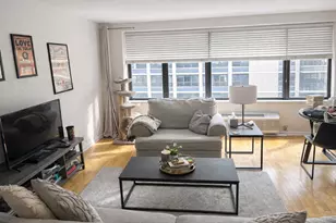 850 N Dewitt Pl, Chicago, IL 60611 - Photo 5