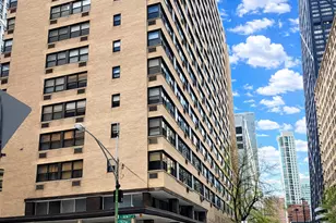 850 N Dewitt Pl, Chicago, IL 60611 - Photo 9