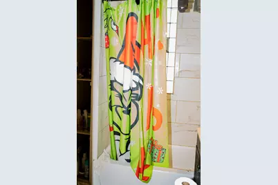 5527 S Hermitage Avenue, Chicago, IL 60636 - Photo 15