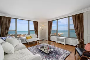 1550 N Lake Shore Dr, Chicago, IL 60610 - Photo 9