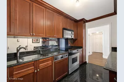 1550 N Lake Shore Drive #12A, Chicago, IL 60610 - Photo 25