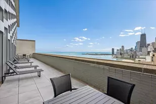 1550 N Lake Shore Dr, Chicago, IL 60610 - Photo 29
