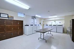 222 N Marion St, Oak Park, IL 60302 - Photo 37