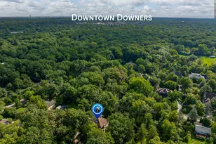 5454 Lee Ave, Downers Grove, IL 60515 - Photo 45