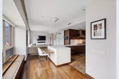 800 N Michigan Avenue #2502, Chicago, IL 60611 - Photo 3