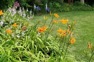 629 N Wren Ave, Palatine, IL 60067 - Photo 27