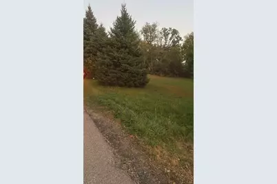 0 South Road, Fox River Grove, IL 60021 - Photo 3