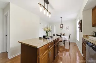320 Essex Ct, Aurora, IL 60504 - Photo 15