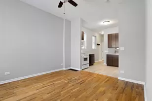 1532 W 18th Pl, Chicago, IL 60608 - Photo 5