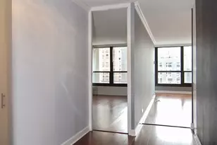1030 N State St, Chicago, IL 60610 - Photo 9