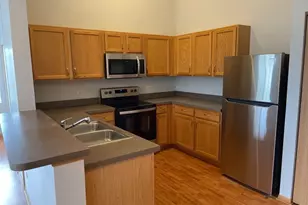 1517 Silverstone Dr, Carpentersville, IL 60110 - Photo 9