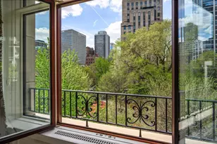 65 E Goethe St, Chicago, IL 60610 - Photo 41