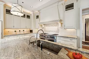 65 E Goethe St, Chicago, IL 60610 - Photo 17