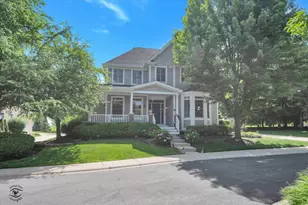 20687 Settler's Ln, Frankfort, IL 60423 - Photo 1