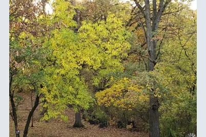 9215 S 83rd Avenue, Hickory Hills, IL 60457 - Photo 25