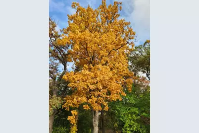 9215 S 83rd Avenue, Hickory Hills, IL 60457 - Photo 23