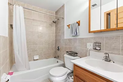 313 W 23rd Street #601, Chicago, IL 60616 - Photo 17