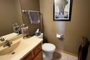 1199 Janice Dr, Sauk Village, IL 60411 - Photo 13