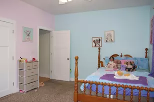 306 S 3rd St, Ashkum, IL 60911 - Photo 33