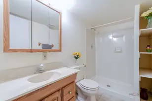 620 W Peregrine Dr, Palatine, IL 60067 - Photo 25