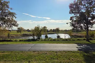 280 Sunset Blvd, Beecher, IL 60401 - Photo 31