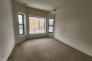 346 E 41st St, Chicago, IL 60653 - Photo 9