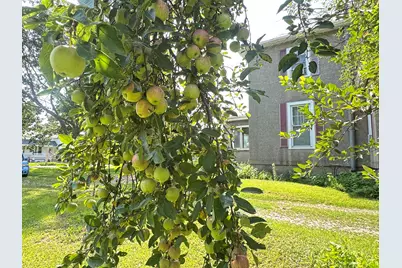 202 S Locust Street, Malden, IL 61337 - Photo 7