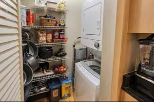 242 S Maple Ave, Oak Park, IL 60302 - Photo 13