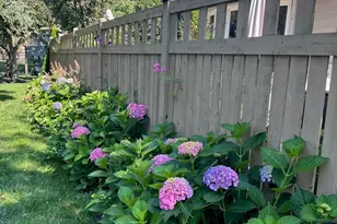 721 Burgess Hill Rd, Naperville, IL 60565 - Photo 29