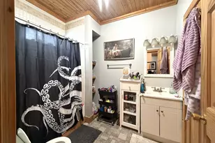 306 S Gridley St, Bloomington, IL 61701 - Photo 13