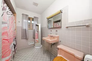908 Curtis Ave, Joliet, IL 60435 - Photo 11