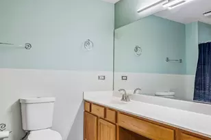 5610 W Von Ave, Monee, IL 60449 - Photo 15