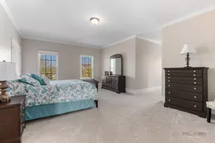 18 Tournament Dr N, Hawthorn Woods, IL 60047 - Photo 47