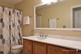 6517 Donegal Ln, McHenry, IL 60050 - Photo 21