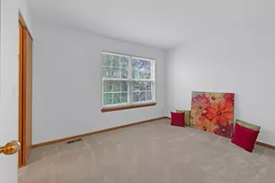 18 Meadow Ct, Schaumburg, IL 60193 - Photo 17