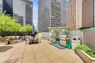 222 N Columbus Dr, Chicago, IL 60601 - Photo 39