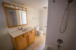 11036 S Kenneth Ave, Oak Lawn, IL 60453 - Photo 15