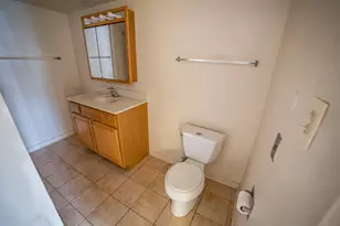 11036 S Kenneth Ave, Oak Lawn, IL 60453 - Photo 13