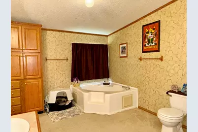 2025 Central Hill Road, Grantsburg, IL 62943 - Photo 15