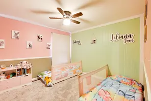 525 Skyline Dr, Algonquin, IL 60102 - Photo 29
