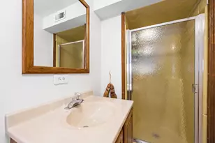 8537 Walnut Ave, Orland Park, IL 60462 - Photo 33