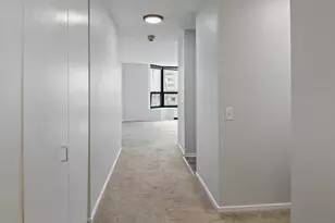 899 S Plymouth Ct, Chicago, IL 60605 - Photo 3